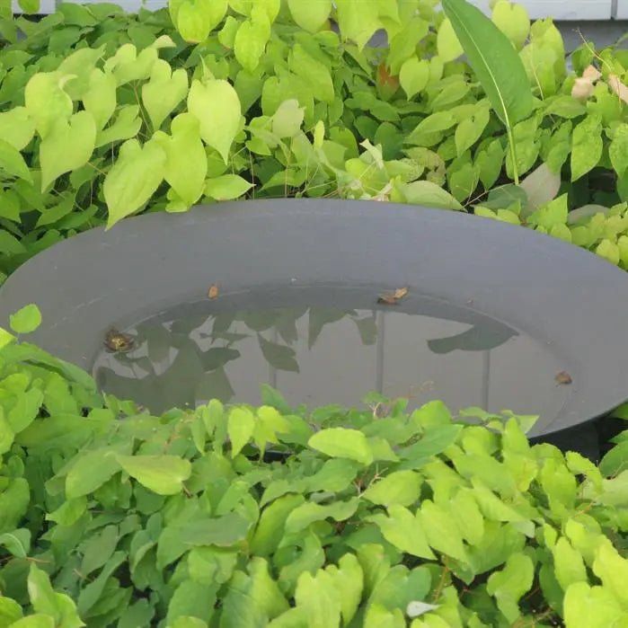 - Adezz - Wasserschale 1200x200