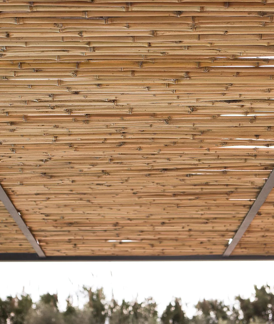 Unopiu - Shibuya Anbaupergola